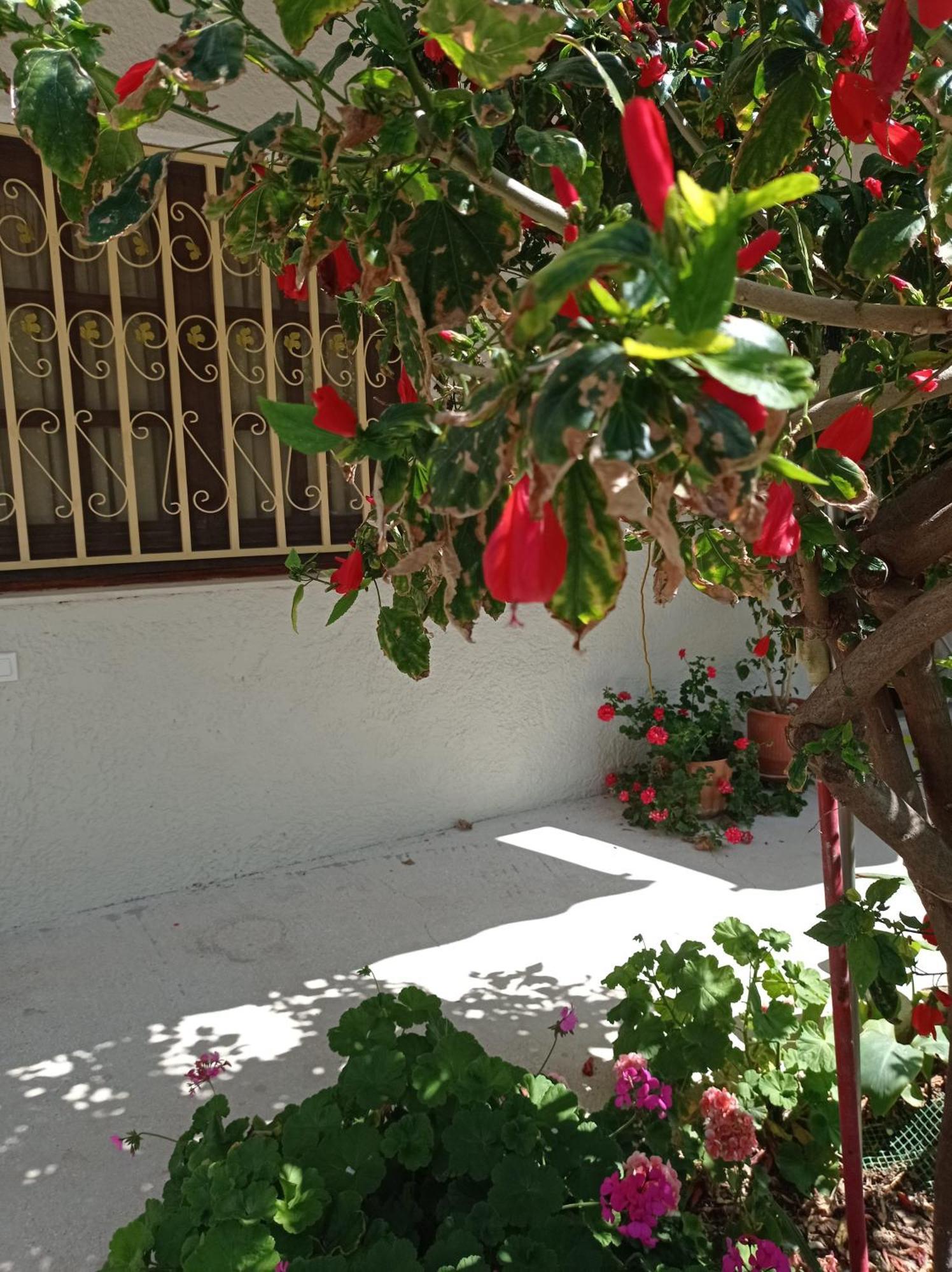 Tasos Seagull Apartments Chania  Luaran gambar